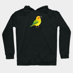 Conure Bird Hoodie